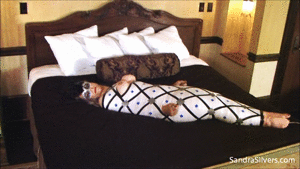pleasetiemeup.com - 1022 - Sandra Silvers thumbnail