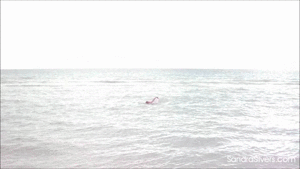 pleasetiemeup.com - 1064 - Sandra Silvers thumbnail