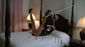 pleasetiemeup.com - 1330 - Lynn Winters thumbnail