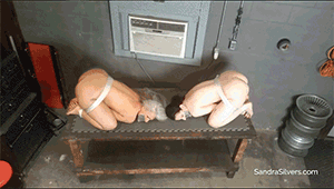 pleasetiemeup.com - 1707 - Sandra Silvers & Caroline Pierce thumbnail