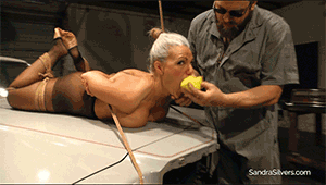 pleasetiemeup.com - 1746 - Sandra Silvers thumbnail