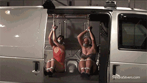 pleasetiemeup.com - 1770 - Sandra Silvers, AJ Marion & Vandra thumbnail