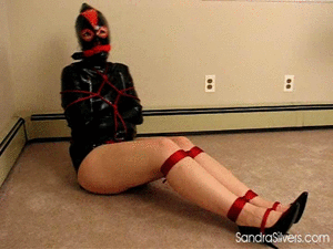 pleasetiemeup.com - 620 Sandra Silvers thumbnail