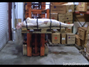 pleasetiemeup.com - 902 - Sandra Silvers thumbnail