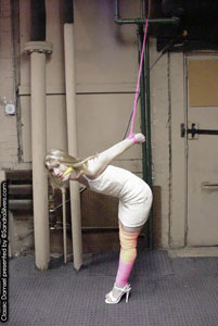 pleasetiemeup.com - 645 Classic Damsel thumbnail